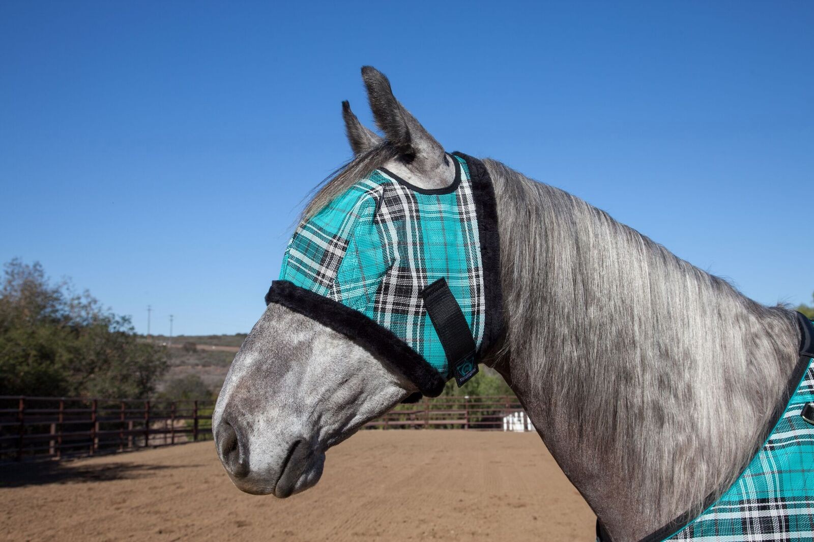 Kensington Fly Mask Fleece Trim for Horses Protects Face Breathable Non Heat Transferring M, Grey Perfect Year Round, Eyes from Flies UV Rays While Allowing Full Visibility 