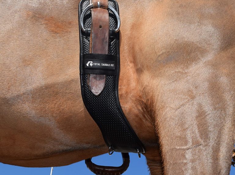 Synthetic Shoulder Relief Cinch K&N Equine Solutions