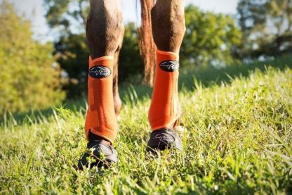 Ortho Equine Front Boot