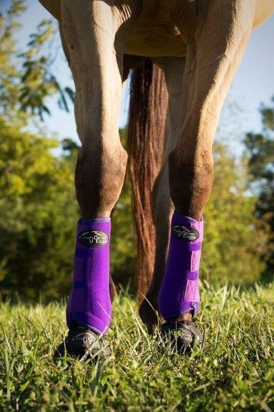 Ortho Equine Hind Boot