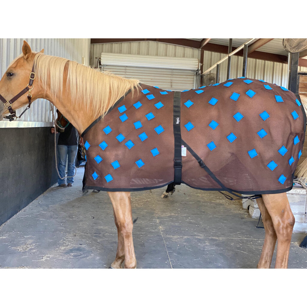 PHT MagnaCu Shoulder/Lumber Blanket – K&amp;N Equine Solutions
